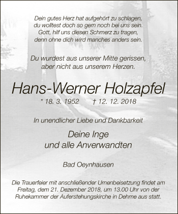Traueranzeige von Hans-Werner Holzapfel